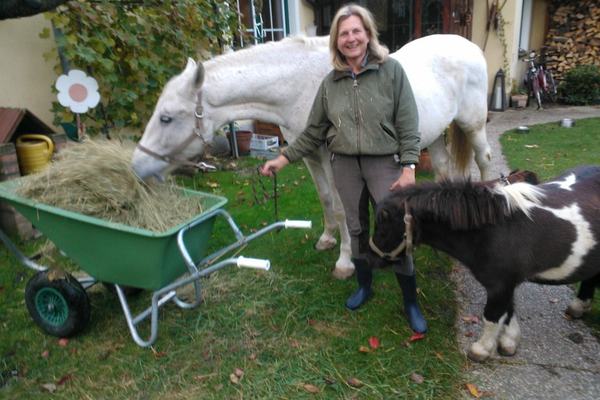 pferd-beim-essen
