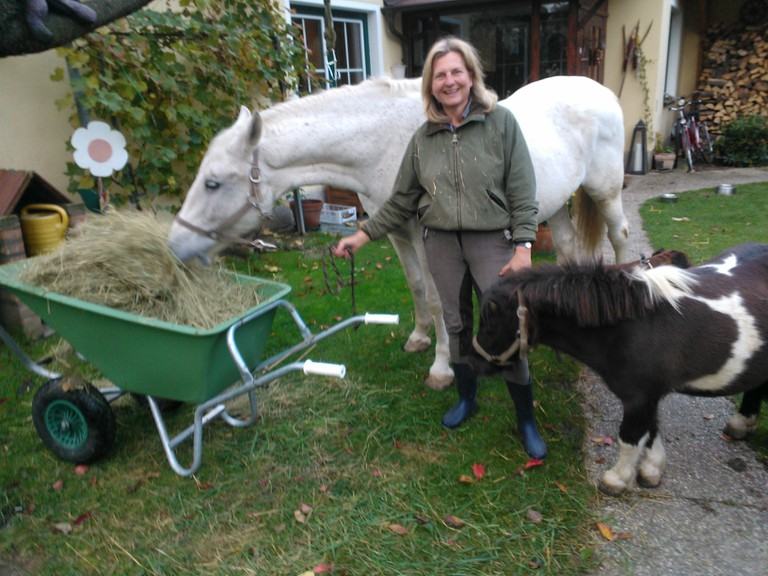 pferd-beim-essen